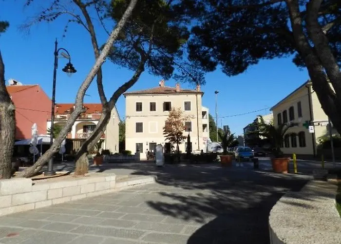 Radomir 法扎纳
